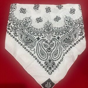 Dust Bandit Paisley Bandana Face Mask